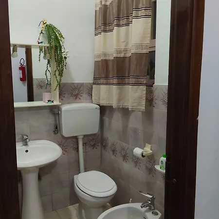 公寓 A Due Passi Dal Mare 普拉亚·阿马勒