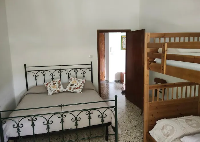 A Due Passi Dal Mare 公寓 普拉亚·阿马勒