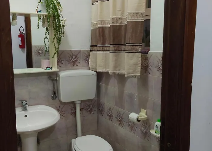 公寓 A Due Passi Dal Mare 普拉亚·阿马勒